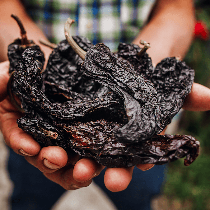 The Holy Trinity: The Best Dried Chiles For Cooking | Ole Rico