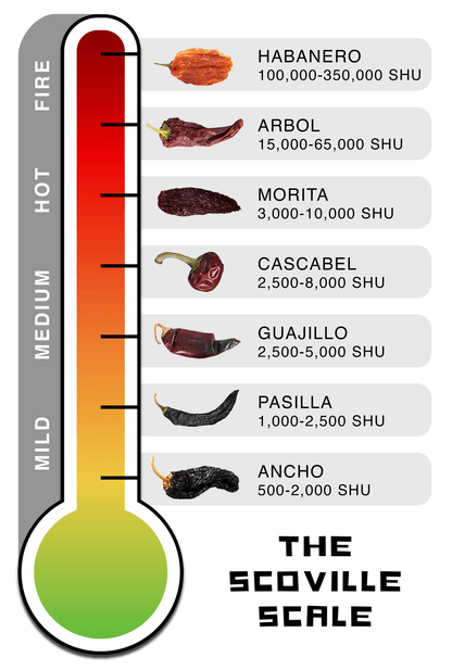 Arbol Chile Powder Shaker - Ole Rico